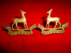 M141 - The Weyburn Regiment Collar Badge Pair